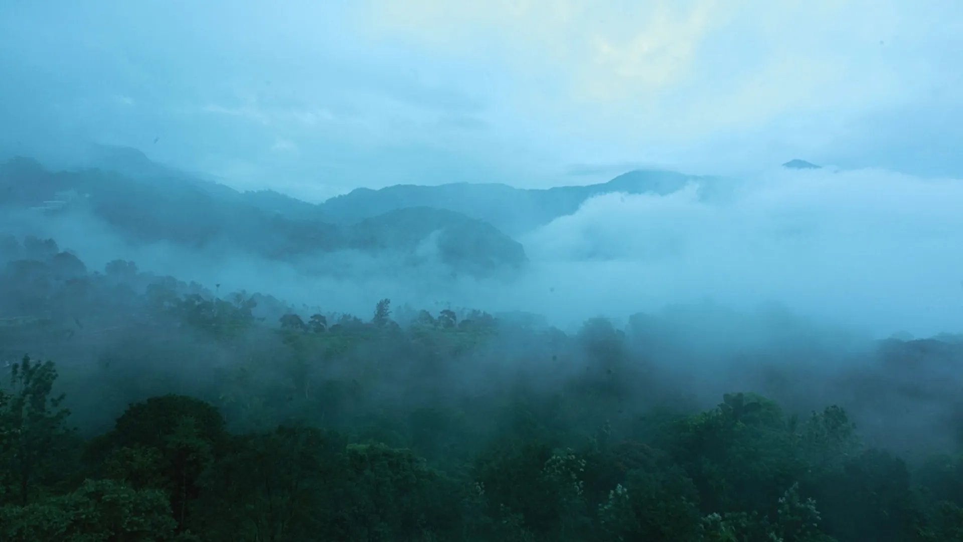 Bellavista Resort Munnar 3*,